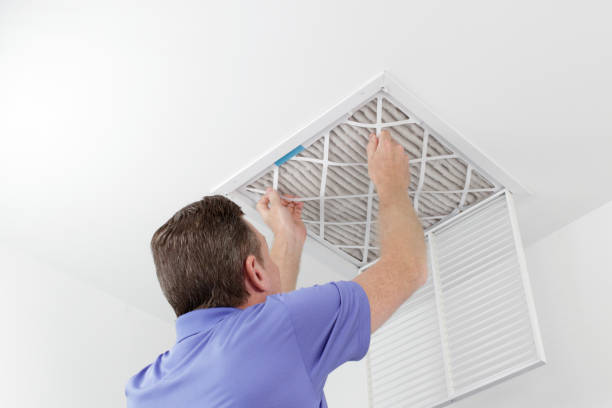 Best Air Duct Sanitizing Services  in Kalona, IA